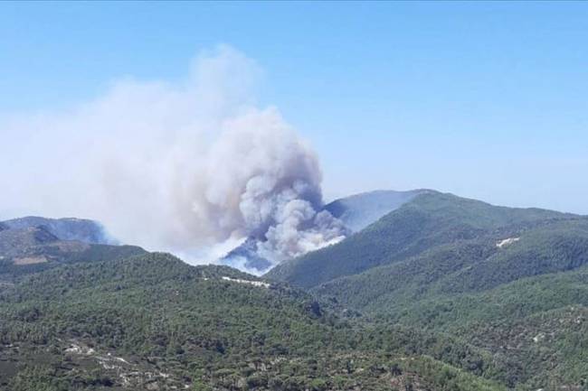 Muğla'da Orman Yangını